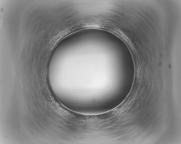 X0000060800385200511101425