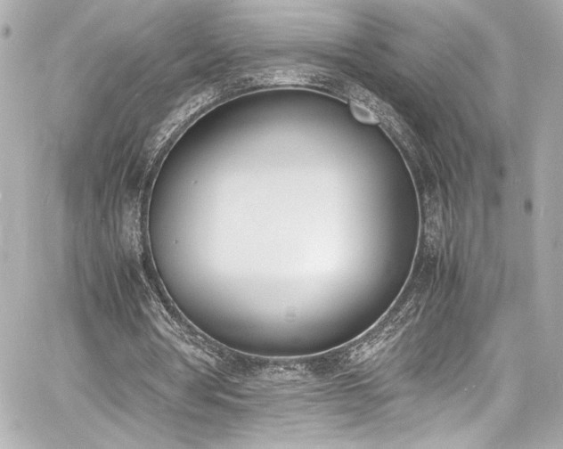 X0000060800386200511101425