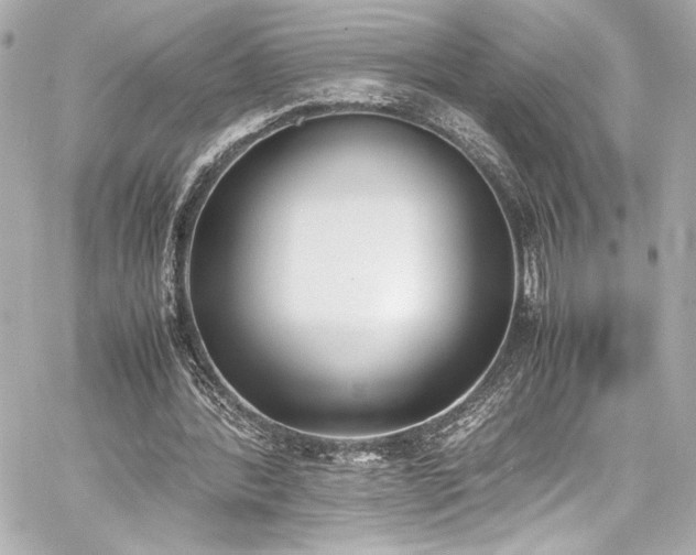 X0000060800388200511101424