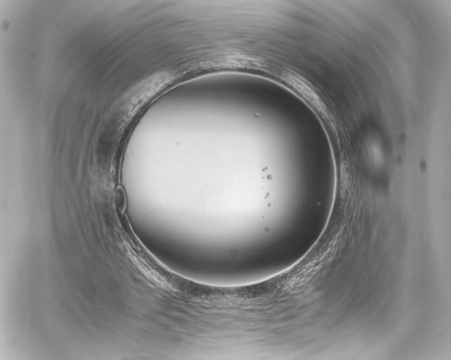 X0000060800389200511101424