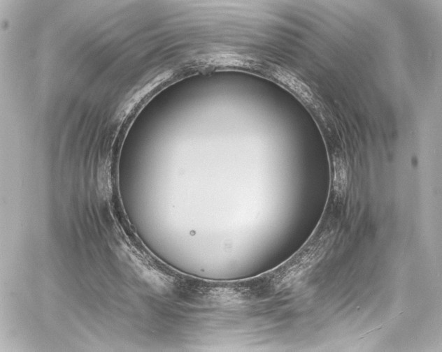 X0000060800390200511101424