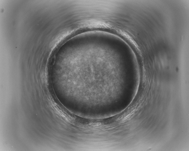 X0000060800391200511101424