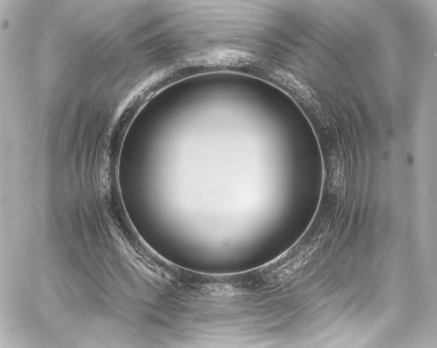 X0000060800392200511101424