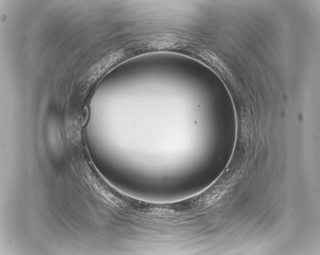 X0000060800393200511101424