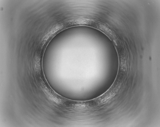 X0000060800394200511101424