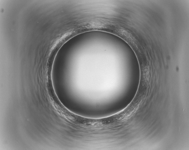 X0000060800395200511101424