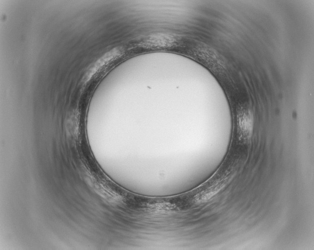 X0000060800396200511101424