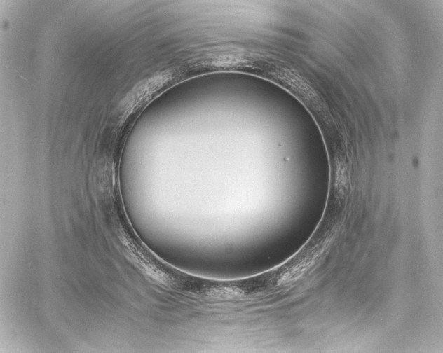 X0000060800397200511101424