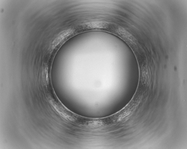 X0000060800398200511101424