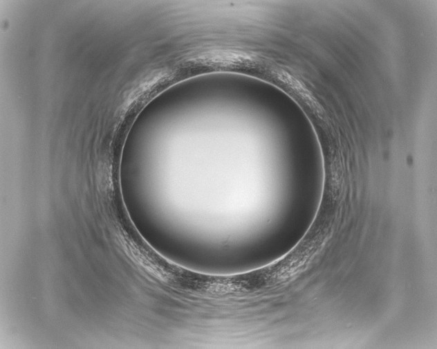 X0000060800399200511101424