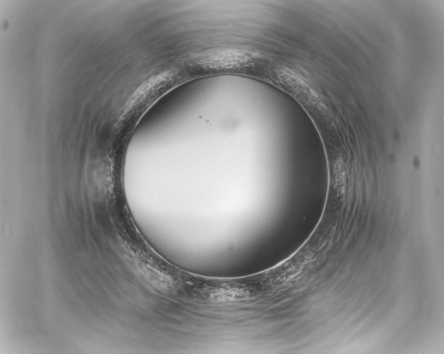 X0000060800400200511101424