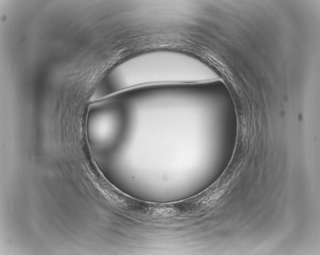 X0000060800401200511101424