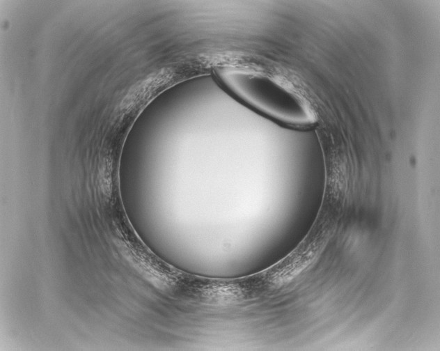 X0000060800402200511101424