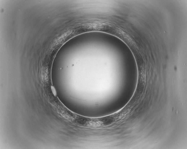 X0000060800403200511101424