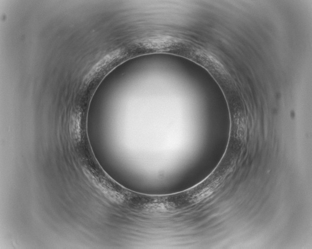 X0000060800404200511101424