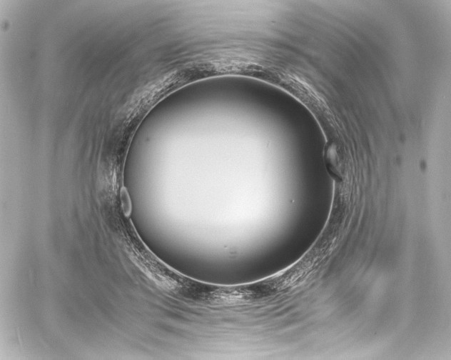 X0000060800405200511101424