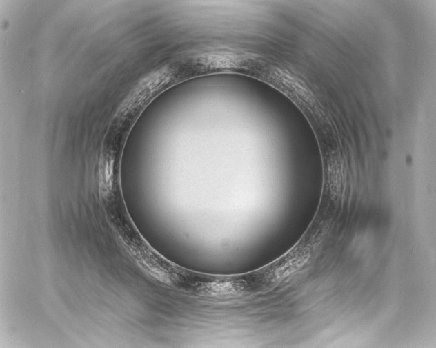 X0000060800406200511101424