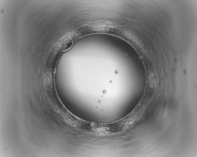 X0000060800407200511101424