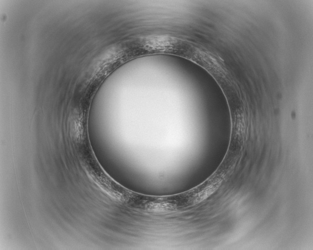 X0000060800408200511101424