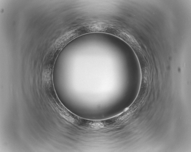 X0000060800409200511101424