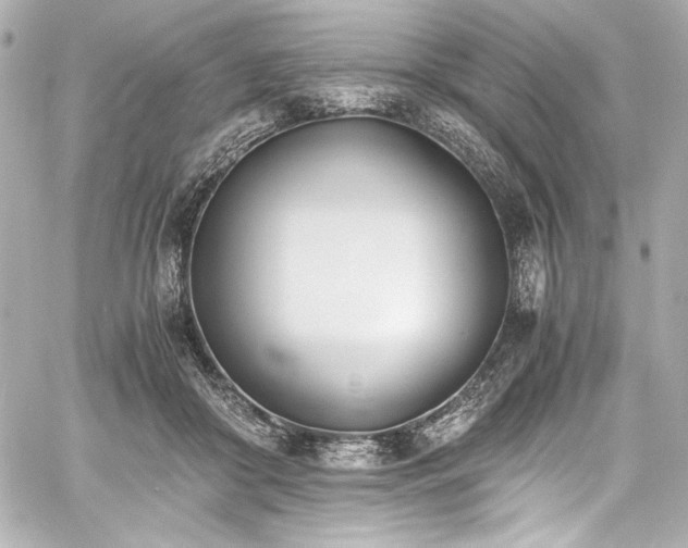 X0000060800410200511101424