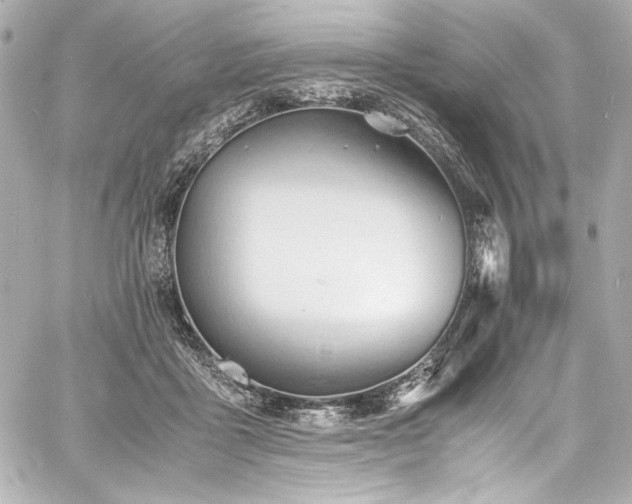 X0000060800411200511101424