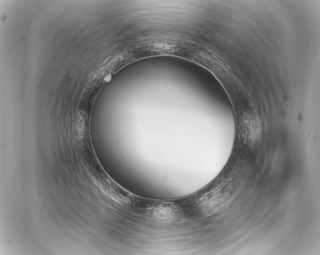 X0000060800412200511101424