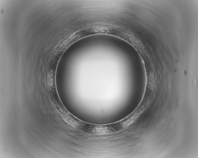 X0000060800413200511101424