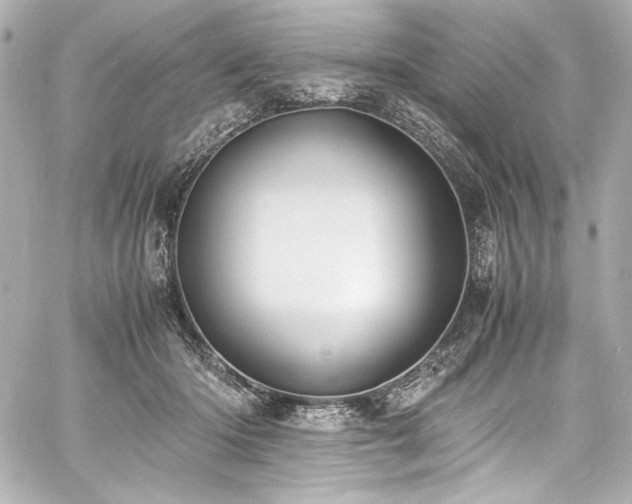 X0000060800414200511101424