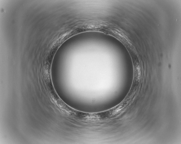 X0000060800415200511101424