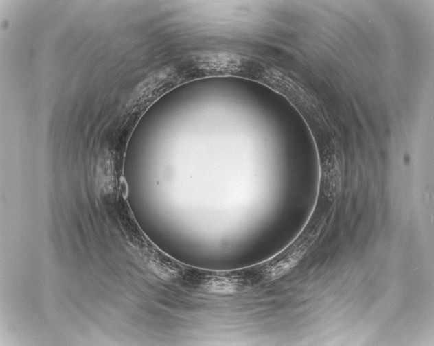 X0000060800416200511101424