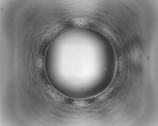 X0000060800417200511101424