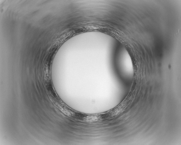 X0000060800418200511101424