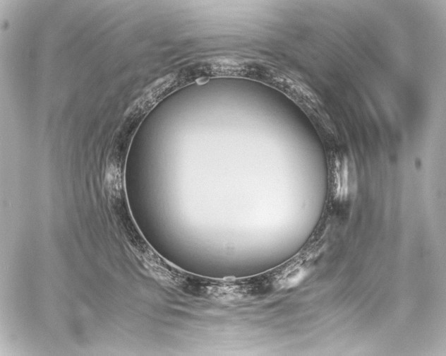 X0000060800419200511101424