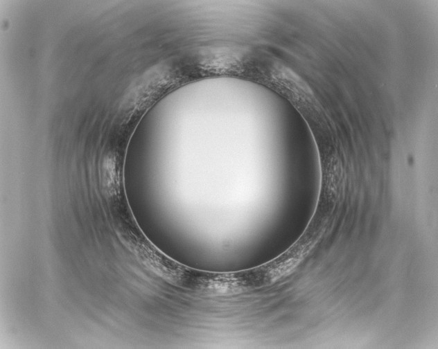 X0000060800420200511101424