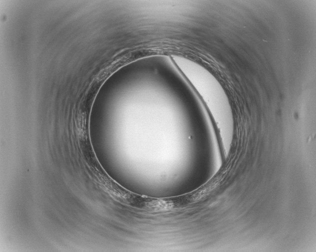 X0000060800421200511101424