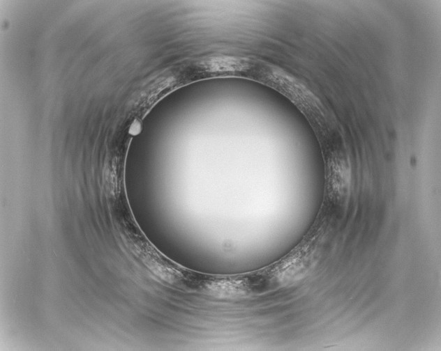 X0000060800422200511101424