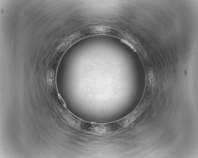 X0000060800423200511101424