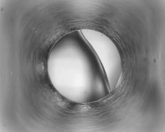 X0000060800424200511101424