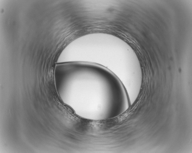 X0000060800425200511101424