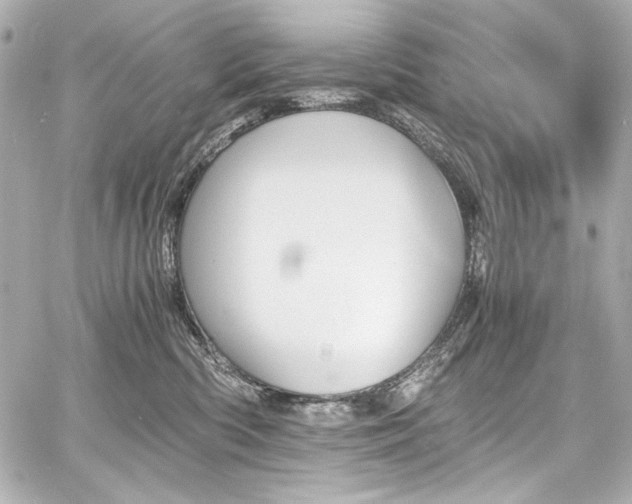 X0000060800426200511101424