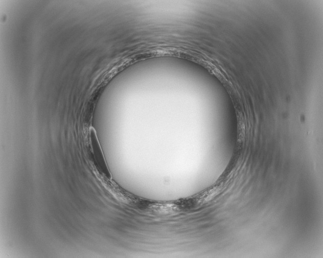 X0000060800427200511101424