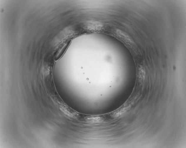 X0000060800428200511101424