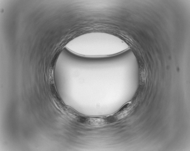 X0000060800429200511101424