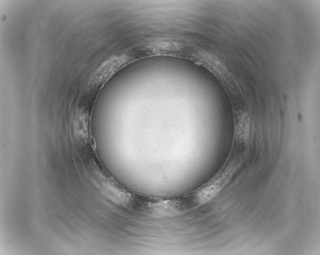 X0000060800430200511101424