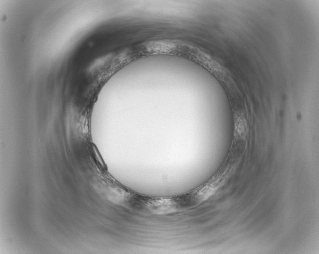 X0000060800431200511101424