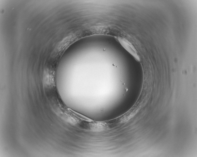 X0000060800432200511101424