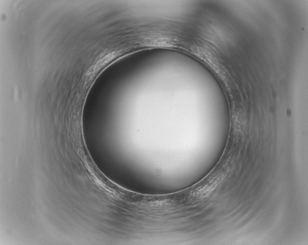 X0000060800433200511101423