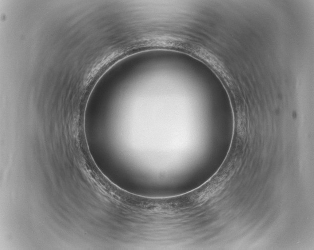 X0000060800434200511101423