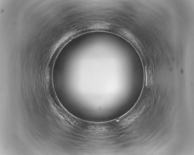 X0000060800435200511101423